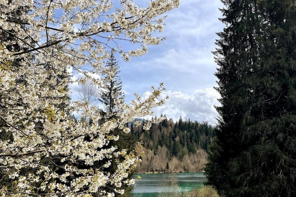 Wohnung Mit Fantastischer Aussicht Trin Exterior foto